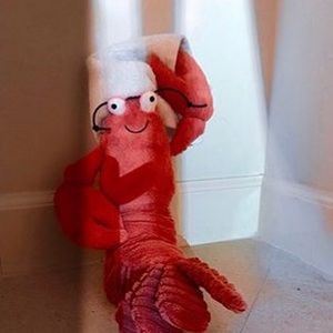 Meet your Posher, Lily